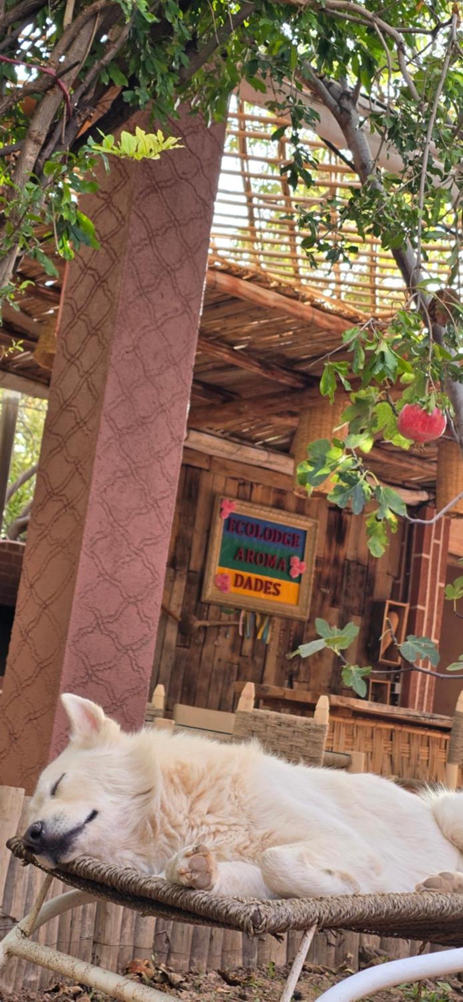 Ecolodge Aroma Dades El Hart Buitenkant foto